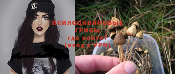 экстази Пересвет