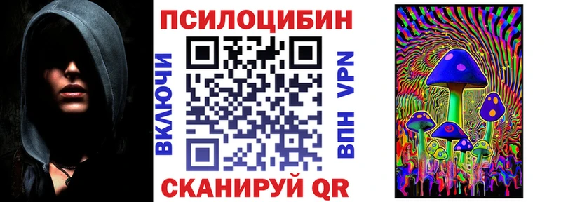 где купить Кулебаки Псилоцибиновые грибы Cubensis